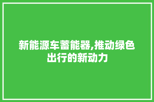 新能源车蓄能器,推动绿色出行的新动力 新款车型