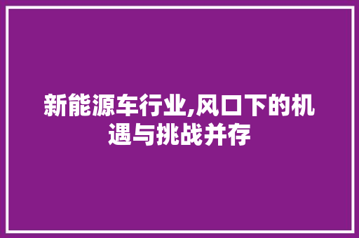 新能源车行业,风口下的机遇与挑战并存