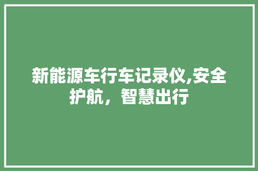 新能源车行车记录仪,安全护航，智慧出行