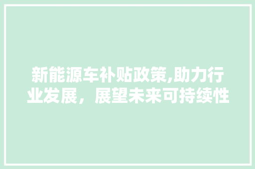 新能源车补贴政策,助力行业发展，展望未来可持续性 蓄电池配件