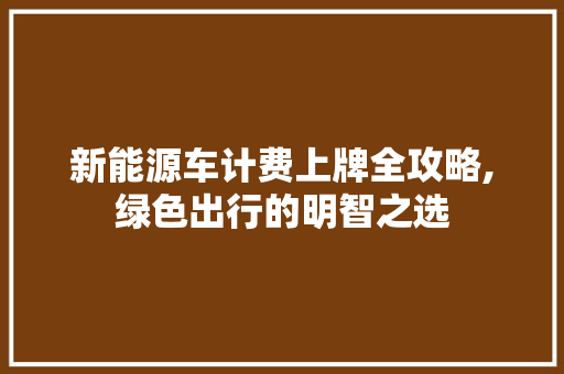 新能源车计费上牌全攻略,绿色出行的明智之选 底盘配件