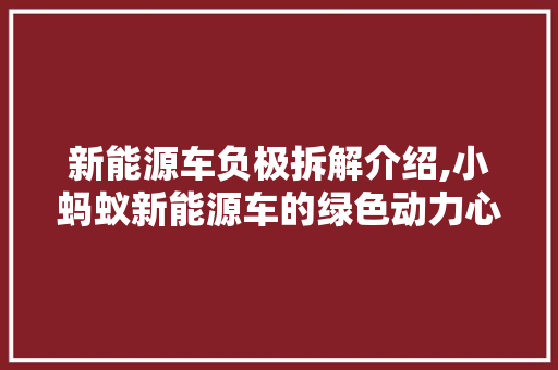 新能源车负极拆解介绍,小蚂蚁新能源车的绿色动力心脏 变速箱配件