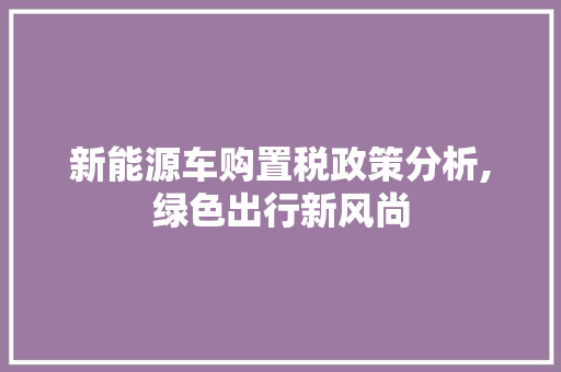 新能源车购置税政策分析,绿色出行新风尚