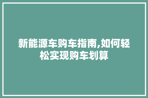 新能源车购车指南,如何轻松实现购车划算