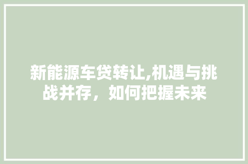 新能源车贷转让,机遇与挑战并存，如何把握未来