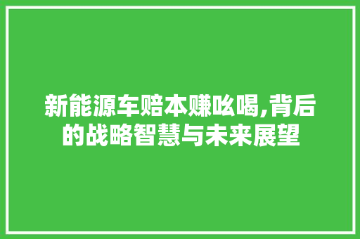 新能源车赔本赚吆喝,背后的战略智慧与未来展望