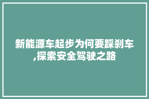 新能源车起步为何要踩刹车,探索安全驾驶之路