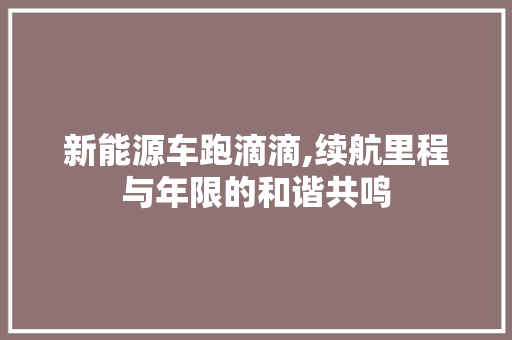新能源车跑滴滴,续航里程与年限的和谐共鸣