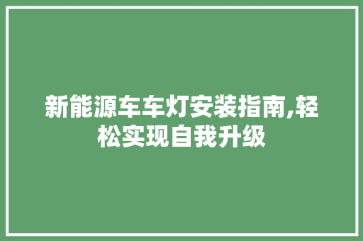 新能源车车灯安装指南,轻松实现自我升级