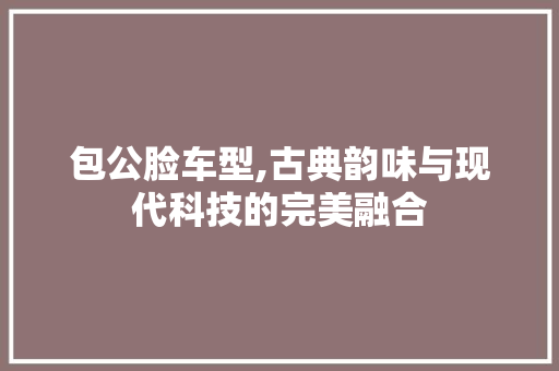 包公脸车型,古典韵味与现代科技的完美融合