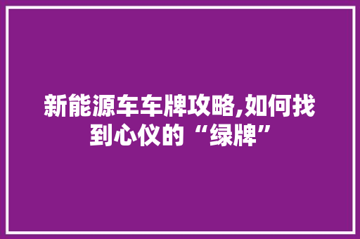新能源车车牌攻略,如何找到心仪的“绿牌” 新款车型