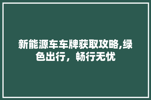 新能源车车牌获取攻略,绿色出行，畅行无忧 汽车配件