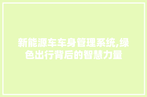 新能源车车身管理系统,绿色出行背后的智慧力量 蓄电池配件