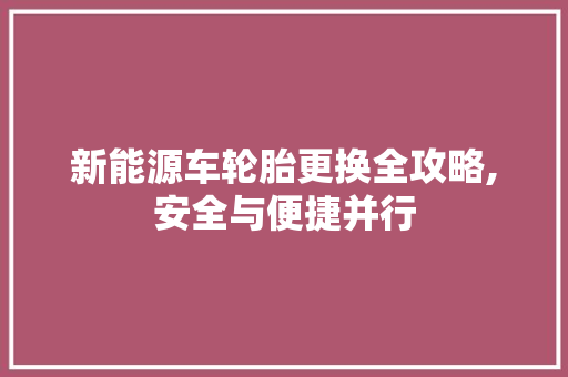 新能源车轮胎更换全攻略,安全与便捷并行