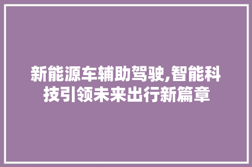 新能源车辅助驾驶,智能科技引领未来出行新篇章
