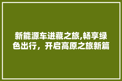 新能源车进藏之旅,畅享绿色出行，开启高原之旅新篇章