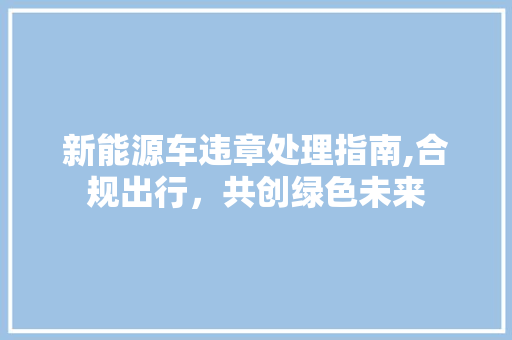 新能源车违章处理指南,合规出行，共创绿色未来
