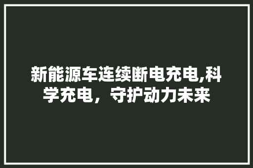 新能源车连续断电充电,科学充电，守护动力未来