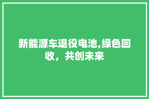 新能源车退役电池,绿色回收，共创未来 车灯配件