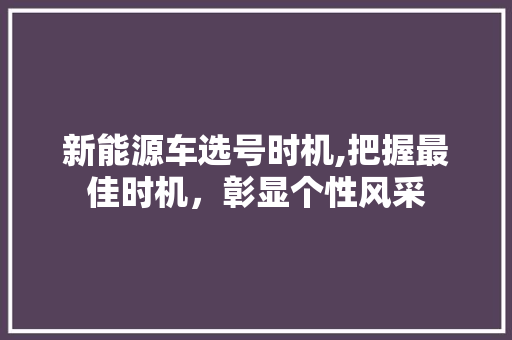 新能源车选号时机,把握最佳时机，彰显个性风采