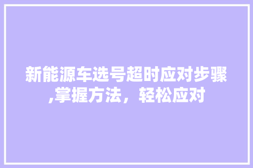 新能源车选号超时应对步骤,掌握方法，轻松应对