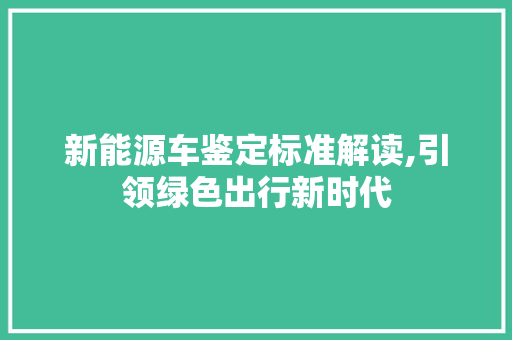 新能源车鉴定标准解读,引领绿色出行新时代