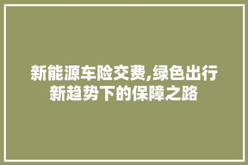 新能源车险交费,绿色出行新趋势下的保障之路 车身配件