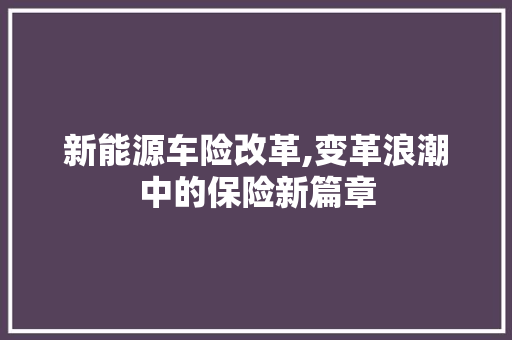 新能源车险改革,变革浪潮中的保险新篇章