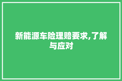 新能源车险理赔要求,了解与应对
