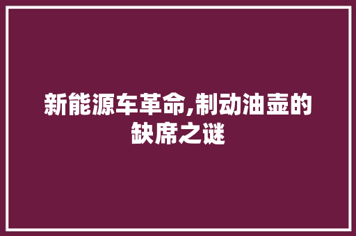 新能源车革命,制动油壶的缺席之谜