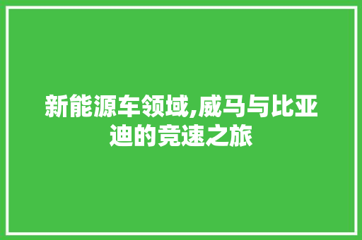 新能源车领域,威马与比亚迪的竞速之旅 蓄电池配件