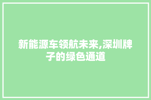 新能源车领航未来,深圳牌子的绿色通道