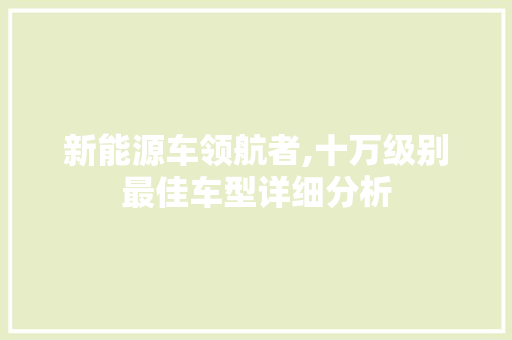 新能源车领航者,十万级别最佳车型详细分析