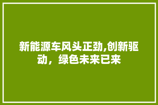 新能源车风头正劲,创新驱动，绿色未来已来