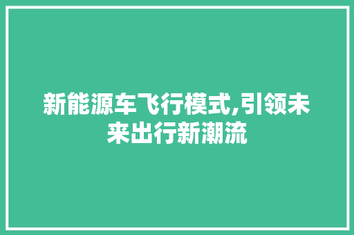 新能源车飞行模式,引领未来出行新潮流