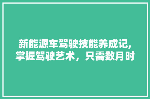 新能源车驾驶技能养成记,掌握驾驶艺术，只需数月时光