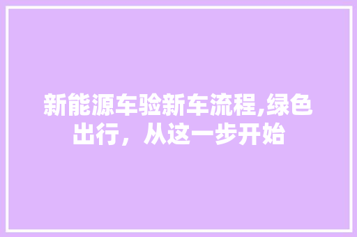 新能源车验新车流程,绿色出行，从这一步开始