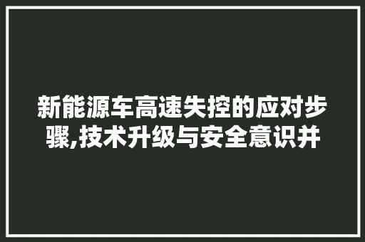 新能源车高速失控的应对步骤,技术升级与安全意识并重 车灯配件
