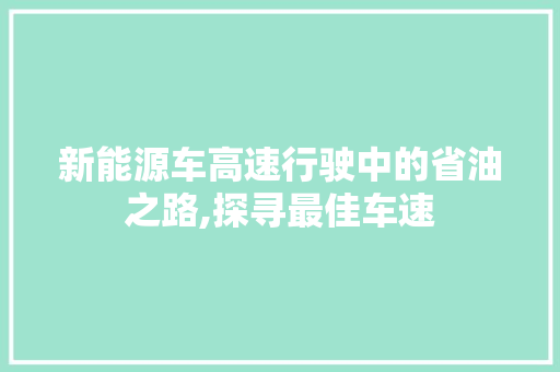 新能源车高速行驶中的省油之路,探寻最佳车速