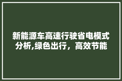 新能源车高速行驶省电模式分析,绿色出行，高效节能