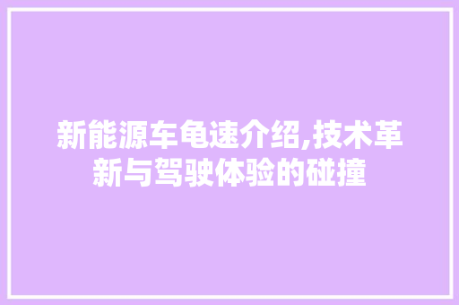 新能源车龟速介绍,技术革新与驾驶体验的碰撞