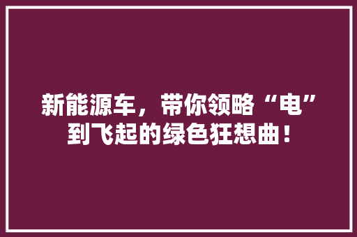 新能源车，带你领略“电”到飞起的绿色狂想曲！