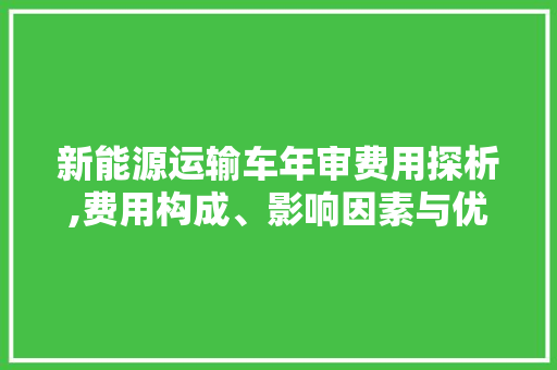 新能源运输车年审费用探析,费用构成、影响因素与优化路径