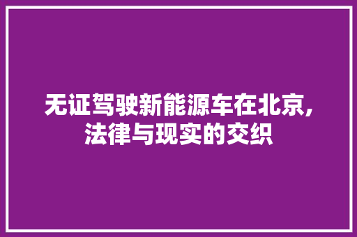 无证驾驶新能源车在北京,法律与现实的交织