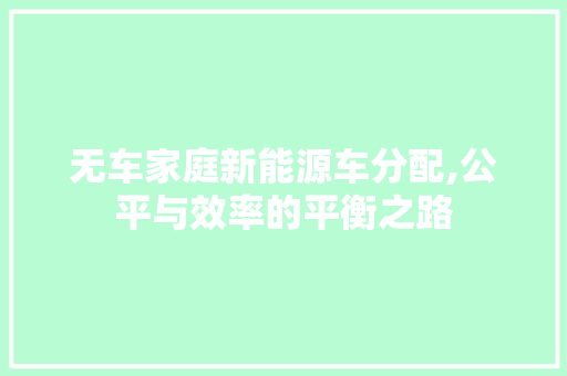 无车家庭新能源车分配,公平与效率的平衡之路