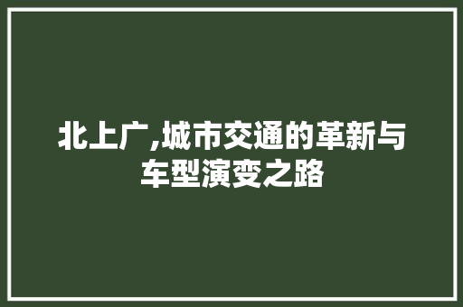 北上广,城市交通的革新与车型演变之路 汽车配件