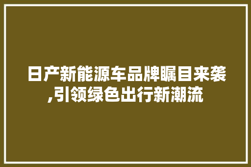 日产新能源车品牌瞩目来袭,引领绿色出行新潮流