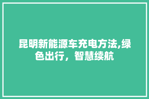 昆明新能源车充电方法,绿色出行，智慧续航