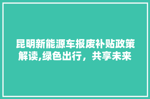 昆明新能源车报废补贴政策解读,绿色出行，共享未来