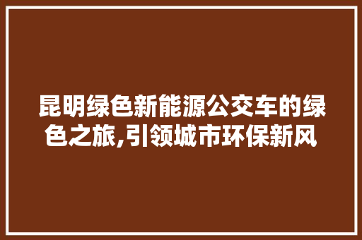 昆明绿色新能源公交车的绿色之旅,引领城市环保新风尚